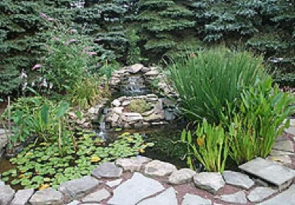 Brownstone Colonial Inn 레인홀즈 외부 사진